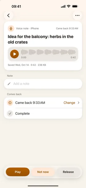 Voice notes